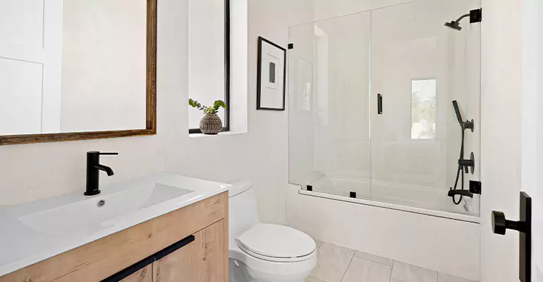 Tub Replacement With Shower in Lake View