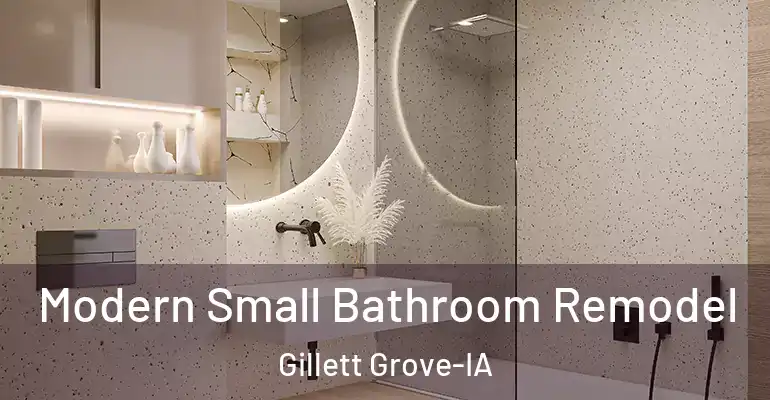 inner Bathroom imggen Modern Small Bathroom Remodel Gillett Grove-IA