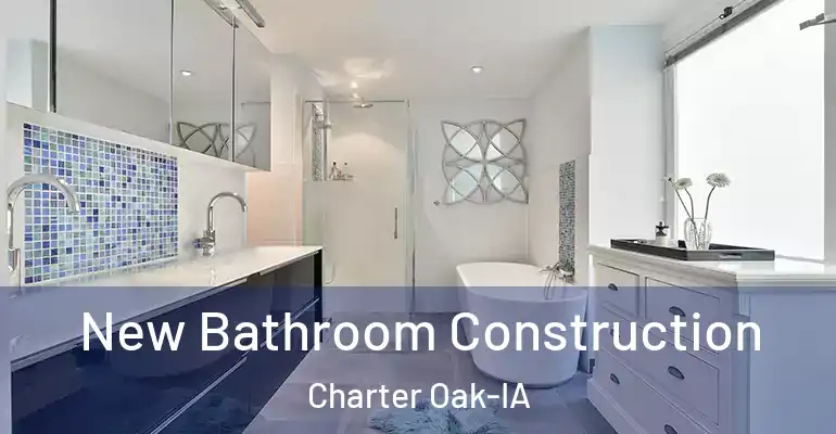 inner Bathroom imggen New Bathroom Construction Charter Oak-IA
