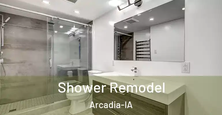 inner Bathroom imggen Shower Remodel Arcadia-IA