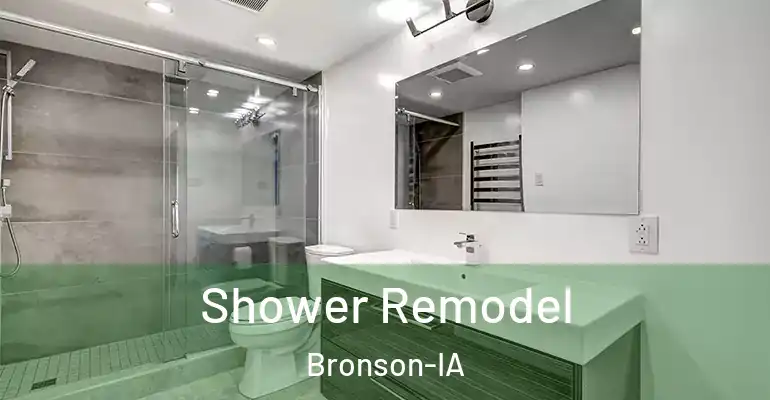 inner Bathroom imggen Shower Remodel Bronson-IA