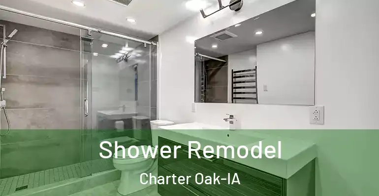 inner Bathroom imggen Shower Remodel Charter Oak-IA