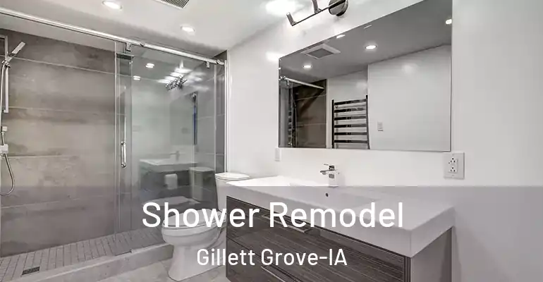 inner Bathroom imggen Shower Remodel Gillett Grove-IA