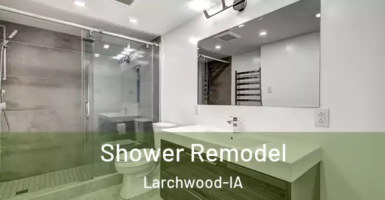 inner Bathroom imggen Shower Remodel Larchwood-IA