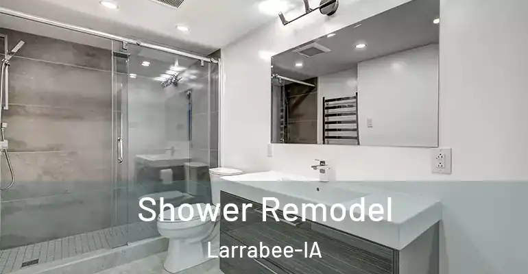 inner Bathroom imggen Shower Remodel Larrabee-IA