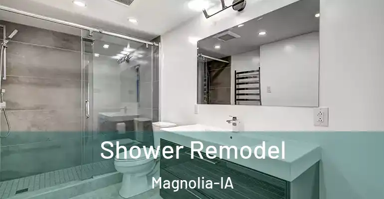 inner Bathroom imggen Shower Remodel Magnolia-IA