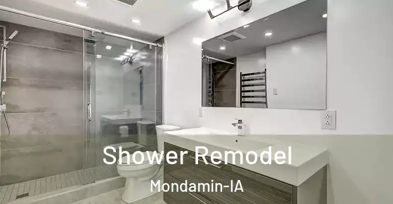 inner Bathroom imggen Shower Remodel Mondamin-IA