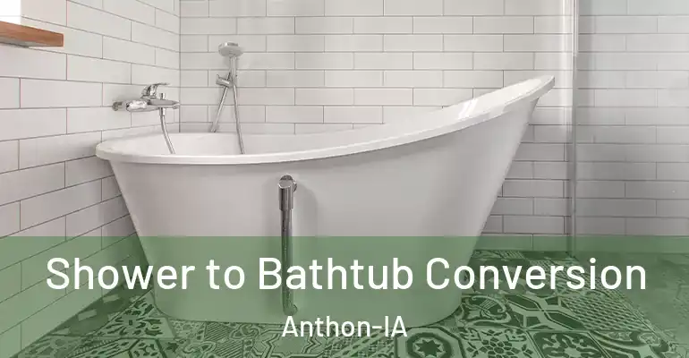 inner Bathroom imggen Shower to Bathtub Conversion Anthon-IA