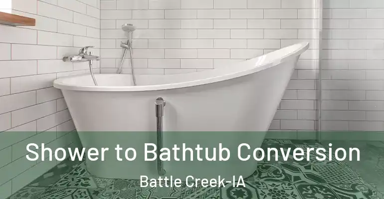 inner Bathroom imggen Shower to Bathtub Conversion Battle Creek-IA