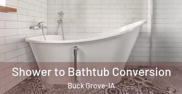 inner Bathroom imggen Shower to Bathtub Conversion Buck Grove-IA