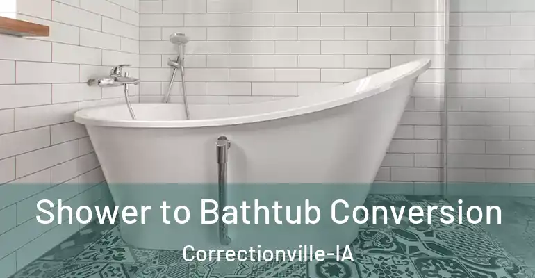 inner Bathroom imggen Shower to Bathtub Conversion Correctionville-IA