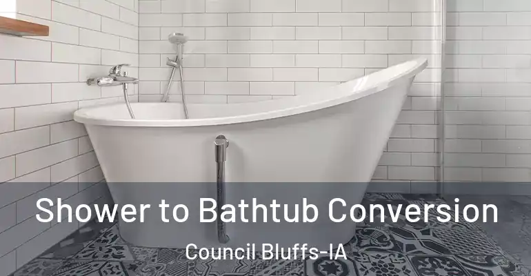 inner Bathroom imggen Shower to Bathtub Conversion Council Bluffs-IA