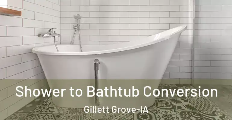 inner Bathroom imggen Shower to Bathtub Conversion Gillett Grove-IA