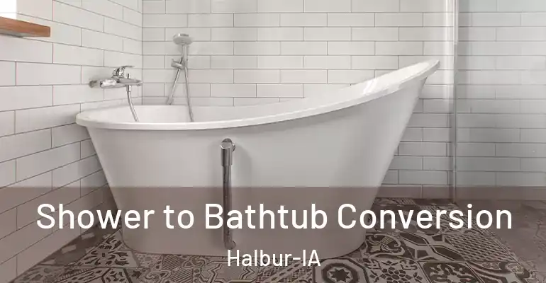 inner Bathroom imggen Shower to Bathtub Conversion Halbur-IA