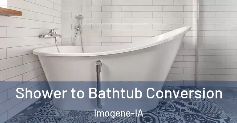 inner Bathroom imggen Shower to Bathtub Conversion Imogene-IA
