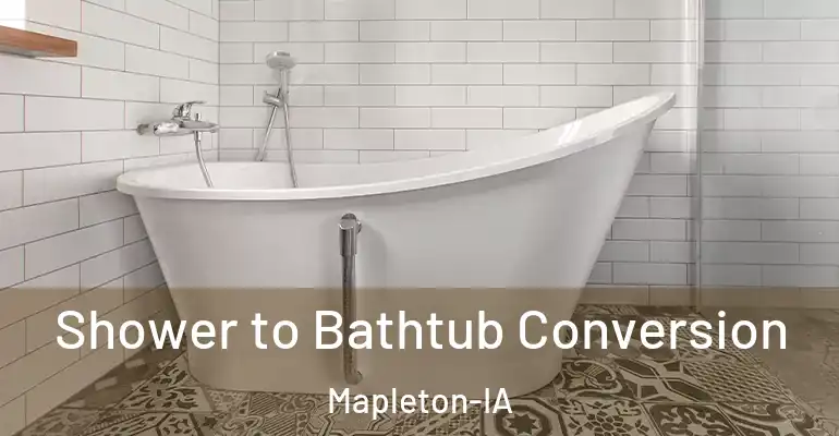 inner Bathroom imggen Shower to Bathtub Conversion Mapleton-IA