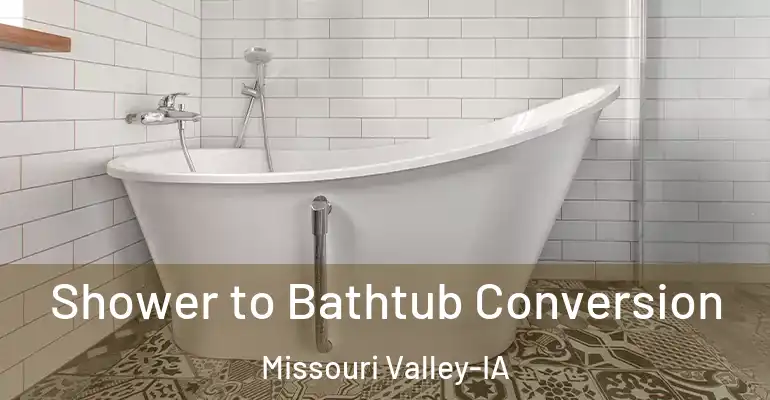 inner Bathroom imggen Shower to Bathtub Conversion Missouri Valley-IA
