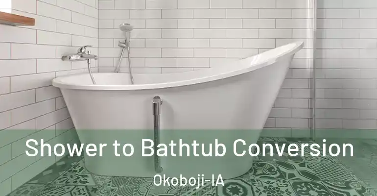 inner Bathroom imggen Shower to Bathtub Conversion Okoboji-IA