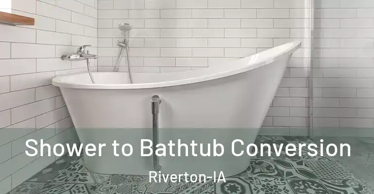 inner Bathroom imggen Shower to Bathtub Conversion Riverton-IA