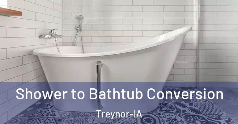 inner Bathroom imggen Shower to Bathtub Conversion Treynor-IA
