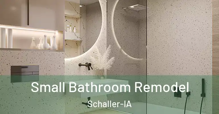inner Bathroom imggen Small Bathroom Remodel Schaller-IA