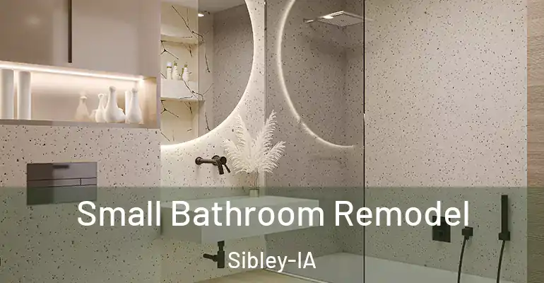 inner Bathroom imggen Small Bathroom Remodel Sibley-IA