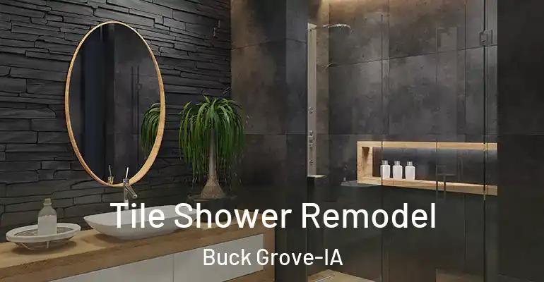 inner Bathroom imggen Tile Shower Remodel Buck Grove-IA
