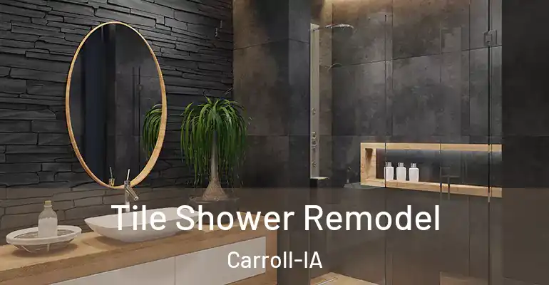 inner Bathroom imggen Tile Shower Remodel Carroll-IA
