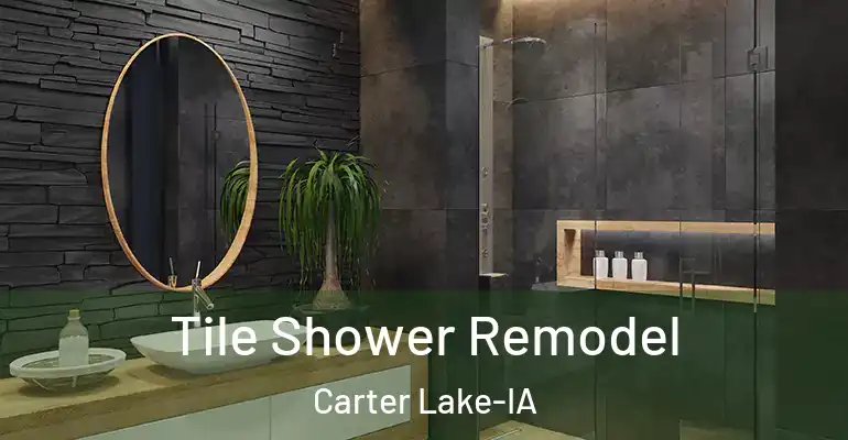 inner Bathroom imggen Tile Shower Remodel Carter Lake-IA