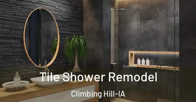 inner Bathroom imggen Tile Shower Remodel Climbing Hill-IA