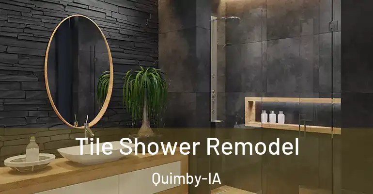 inner Bathroom imggen Tile Shower Remodel Quimby-IA