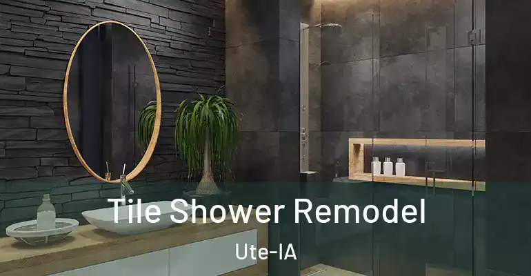 inner Bathroom imggen Tile Shower Remodel Ute-IA