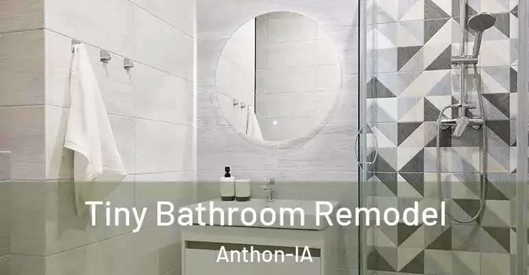 inner Bathroom imggen Tiny Bathroom Remodel Anthon-IA