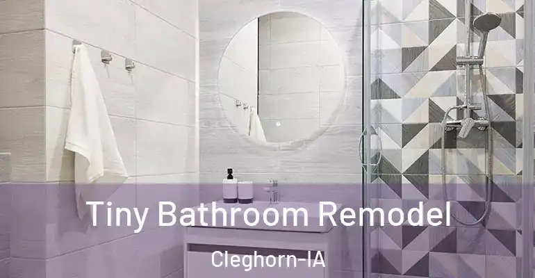 inner Bathroom imggen Tiny Bathroom Remodel Cleghorn-IA