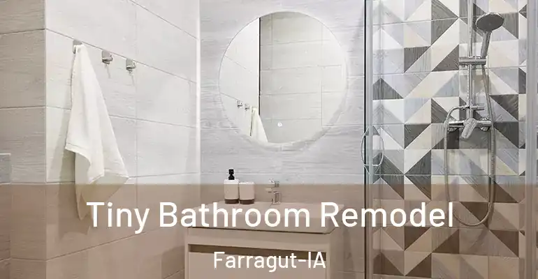 inner Bathroom imggen Tiny Bathroom Remodel Farragut-IA