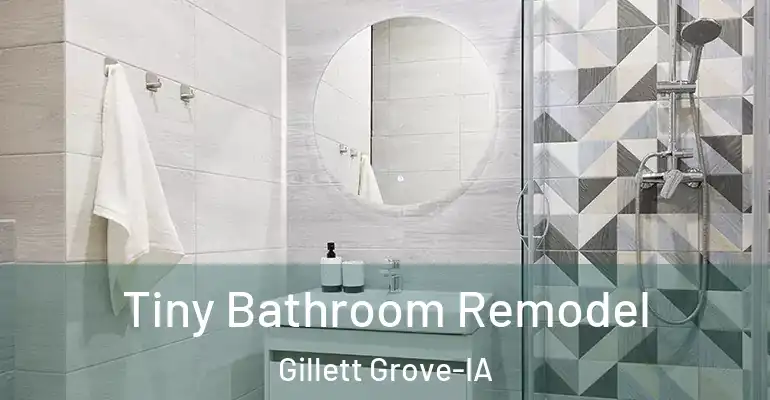 inner Bathroom imggen Tiny Bathroom Remodel Gillett Grove-IA