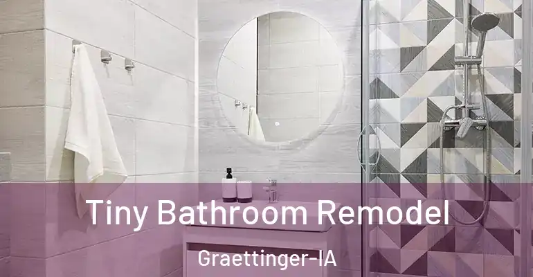 inner Bathroom imggen Tiny Bathroom Remodel Graettinger-IA