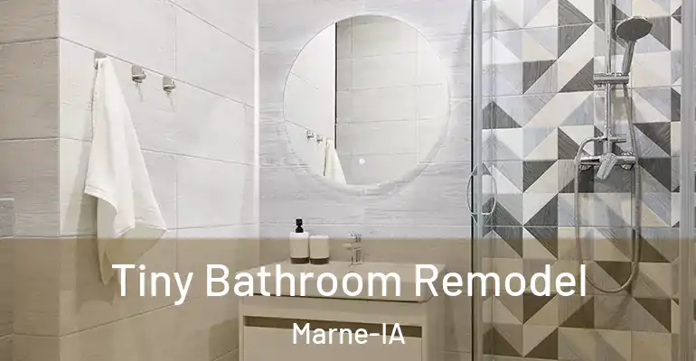 inner Bathroom imggen Tiny Bathroom Remodel Marne-IA