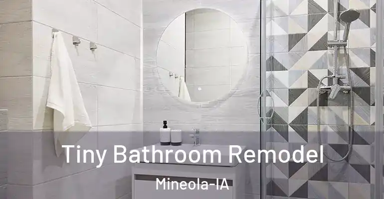 inner Bathroom imggen Tiny Bathroom Remodel Mineola-IA