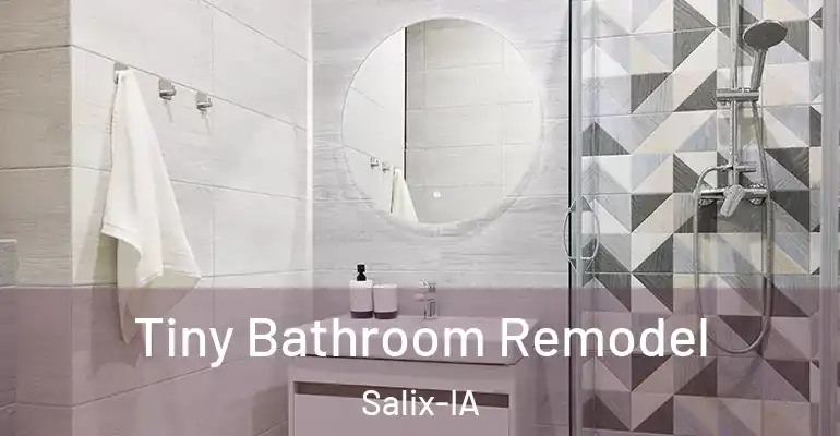 inner Bathroom imggen Tiny Bathroom Remodel Salix-IA