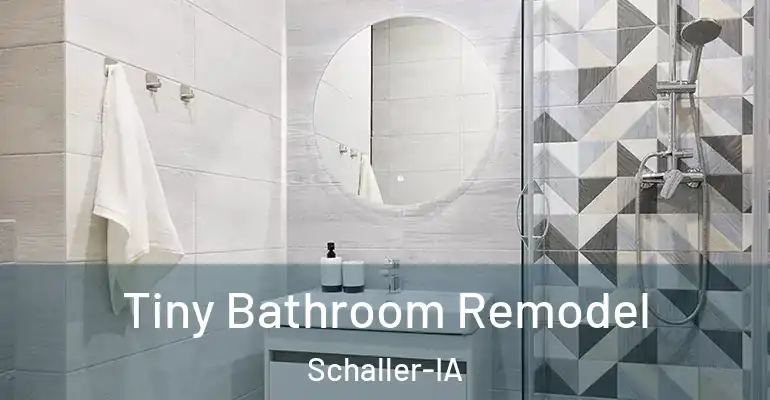 inner Bathroom imggen Tiny Bathroom Remodel Schaller-IA