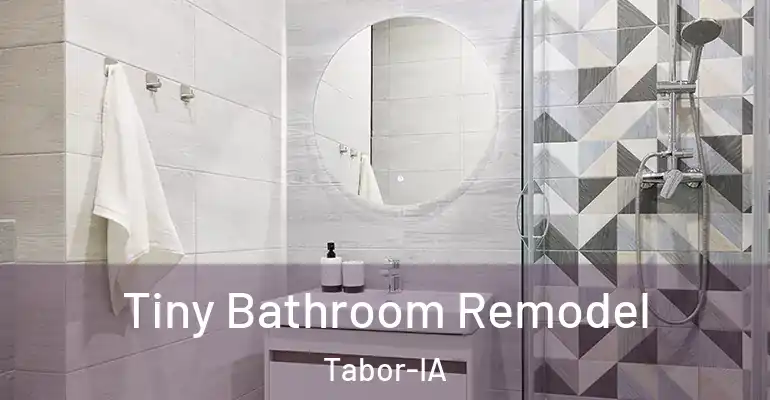 inner Bathroom imggen Tiny Bathroom Remodel Tabor-IA