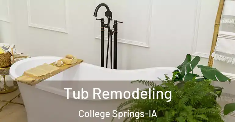 inner Bathroom imggen Tub Remodeling College Springs-IA