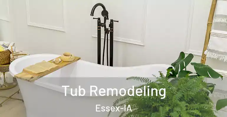 inner Bathroom imggen Tub Remodeling Essex-IA