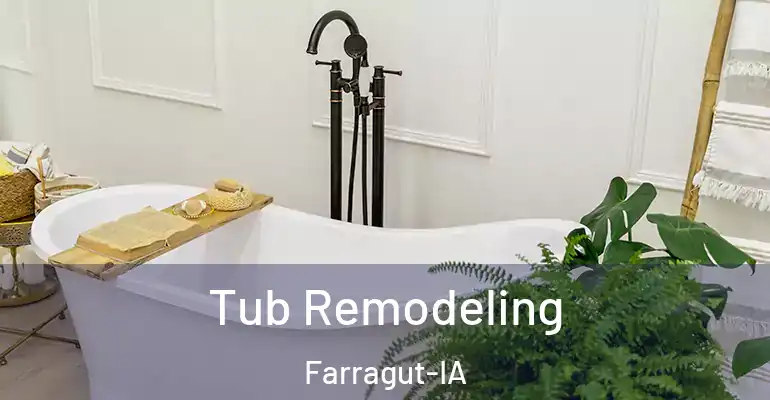 inner Bathroom imggen Tub Remodeling Farragut-IA