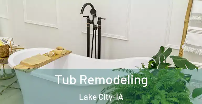 inner Bathroom imggen Tub Remodeling Lake City-IA