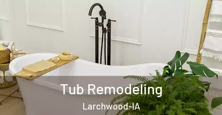 inner Bathroom imggen Tub Remodeling Larchwood-IA