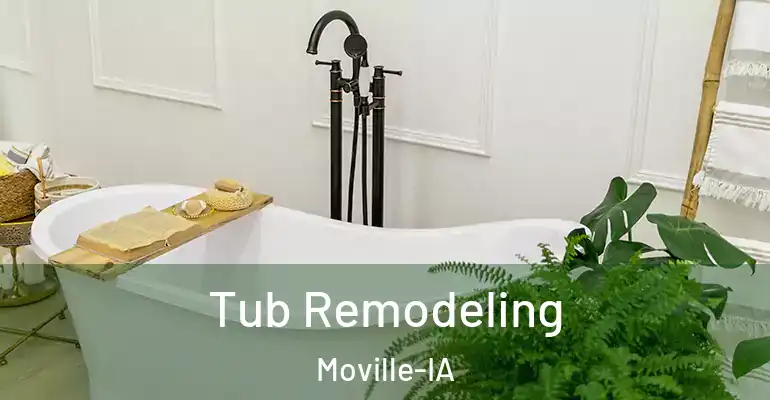 inner Bathroom imggen Tub Remodeling Moville-IA