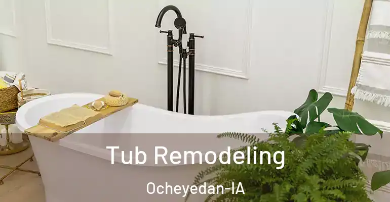 inner Bathroom imggen Tub Remodeling Ocheyedan-IA
