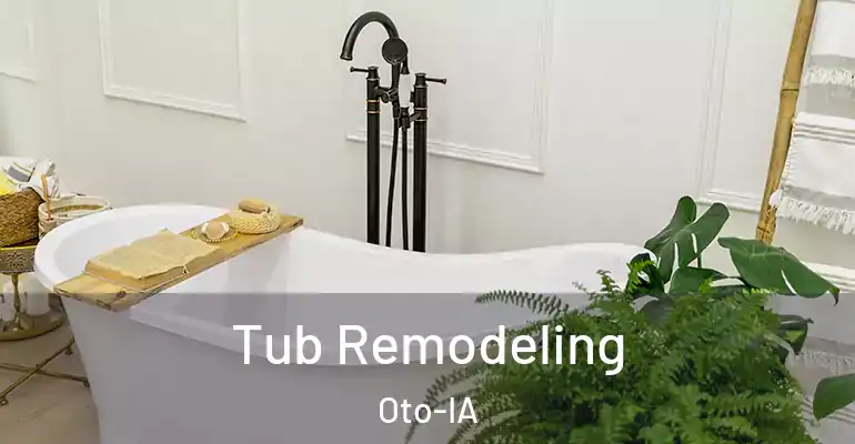 inner Bathroom imggen Tub Remodeling Oto-IA
